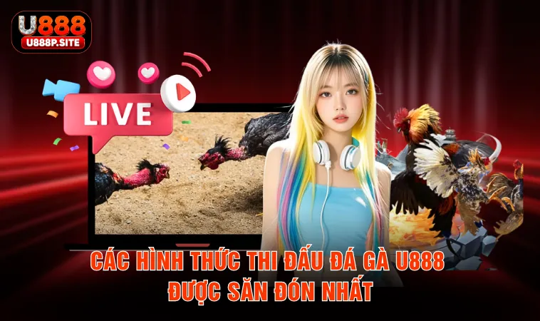Các hình thức thi đấu đá gà U888 được săn đón nhất