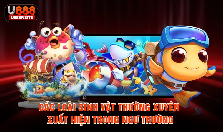 Các loài sinh vật thường xuyên xuất hiện trong ngư trường