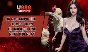 da-ga-campuchia-xem-50-tran-thomo-kich-tinh-nhat-moi-ngay