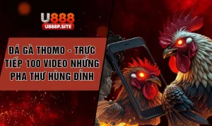 da-ga-thomo-truc-tiep-100-video-nhung-pha-thu-hung-dinh