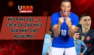 keo-phat-goc-5-cach-soi-cau-hieu-qua-nhat-cho-nguoi-moi