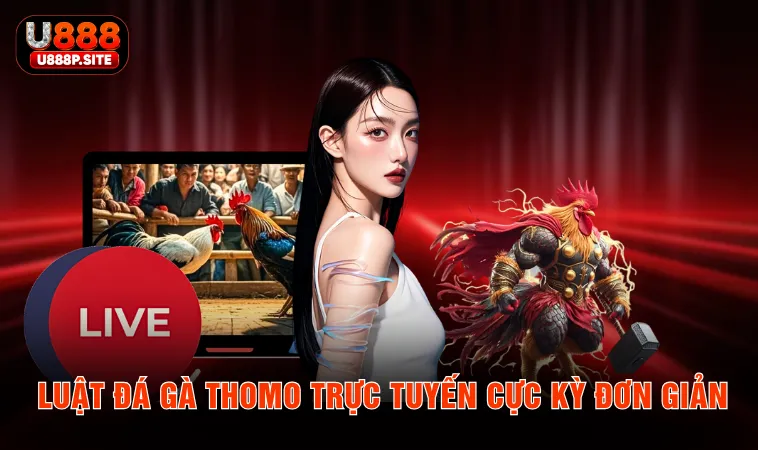 Luật đá gà Thomo trực tuyến cực kỳ đơn giản