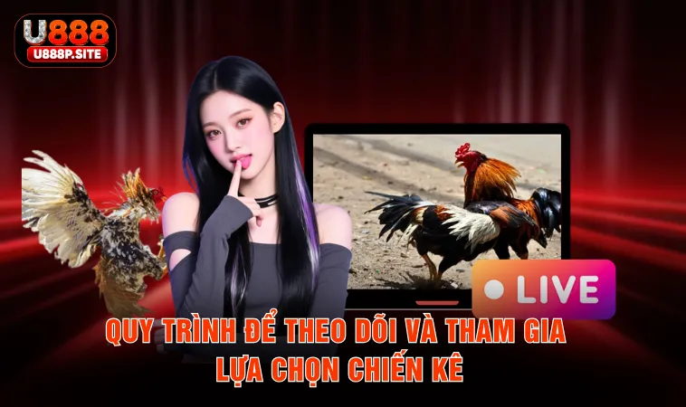 Quy trình để theo dõi và tham gia lựa chọn chiến kê